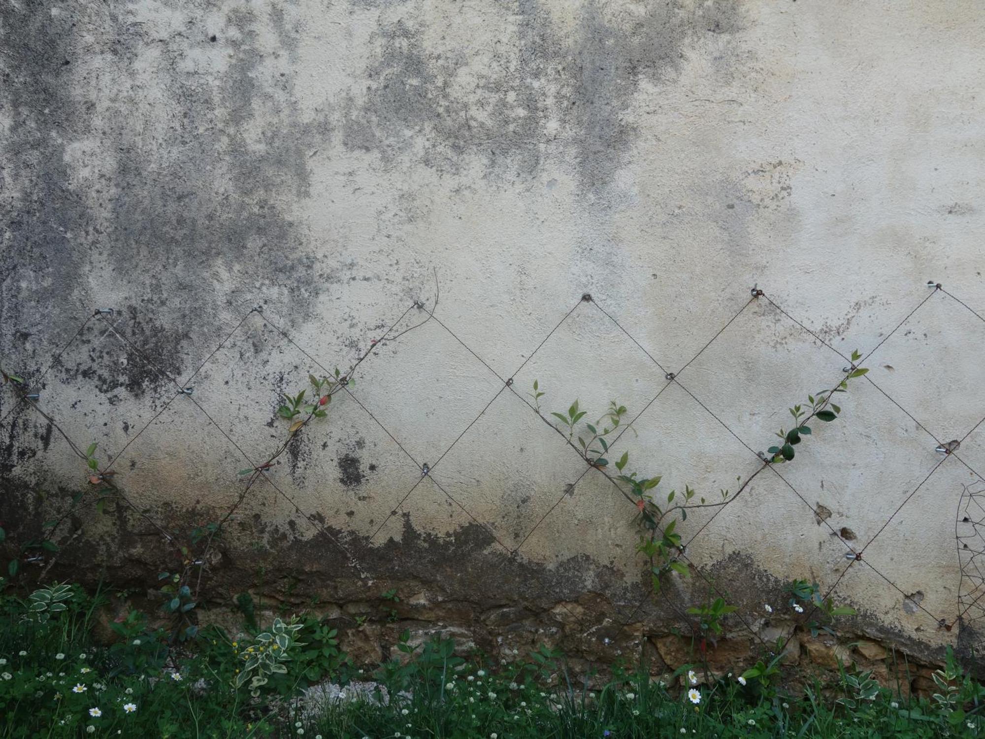 Guesthouse Near The Castle Of ฮีมาเรอ ภายนอก รูปภาพ