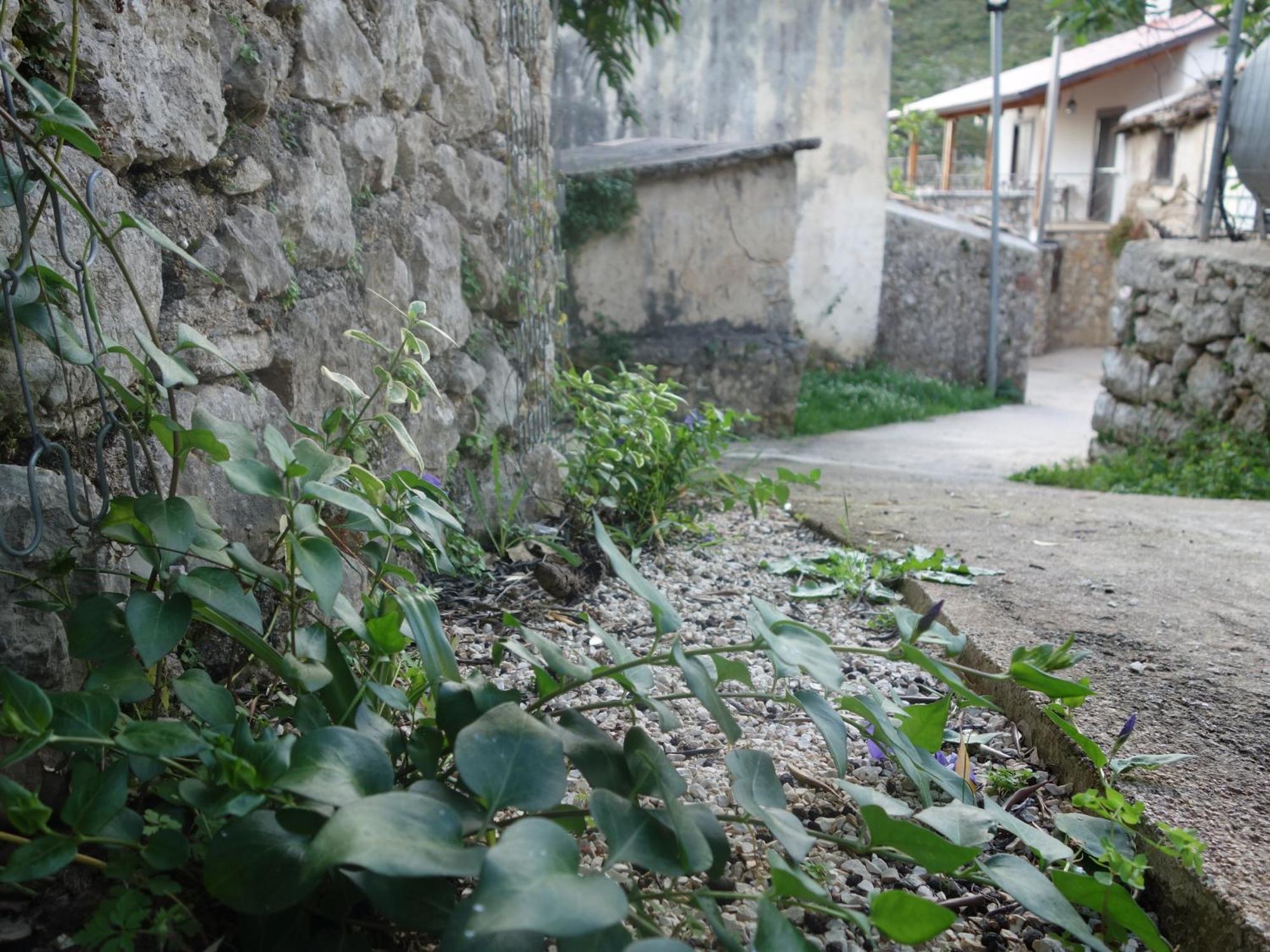 Guesthouse Near The Castle Of ฮีมาเรอ ภายนอก รูปภาพ